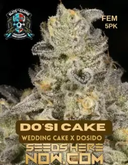Dosi Cake S1 Feminized Seeds (space) A Hybrid of Wedding Cake and Do(space)Si(space)Do