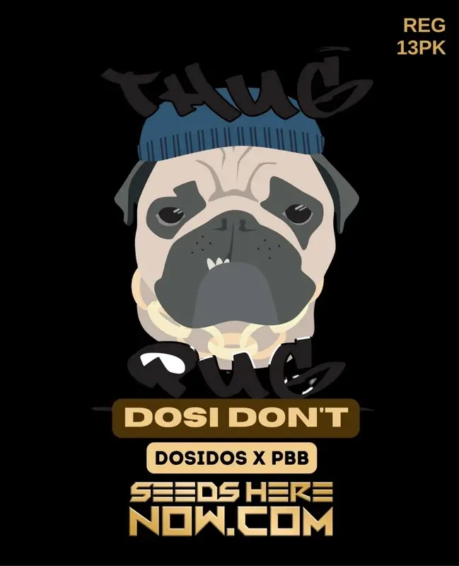 Dosi Don't Cannabis Seeds - Indica Dominant Hybrid by Thug Pug Genetics