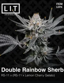 Double Rainbow Sherb Cannabis Seeds by LIT Farms, featuring Rainbow Sherbet and Lemon Cherry Gelato lineage