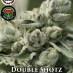 Double Shotz (Regular) - Pacific Northwest Roots