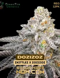 Image of Dozizoz Regular Seeds packet, a potent Indica dominant hybrid with Zkittlez and Zozizoz lineage.