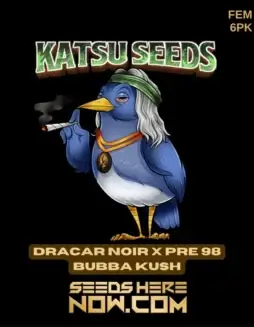 Dracar Noir x Pre 98 Bubba Kush Cannabis Seeds by Katsu Seeds (space) Feminized