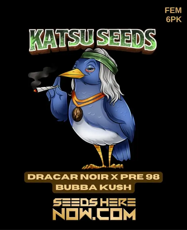 Dracar Noir x Pre 98 Bubba Kush Cannabis Seeds by Katsu Seeds - Feminized
