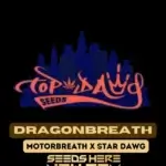 Dragonbreath (Regular) - Top Dawg Seeds