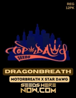 Dragonbreath cannabis seeds by Top Dawg Seeds featuring Motorbreath x Star Dawg lineage