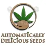 Dream Haze Gelato (Autoflower) - Automatically Delicious