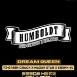 Dream Queen (Regular) - Humboldt Seed Company