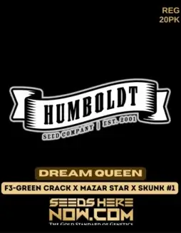 Dream Queen Cannabis Seeds by Humboldt Seed Company (space) Regular Type with Aromatic Profile