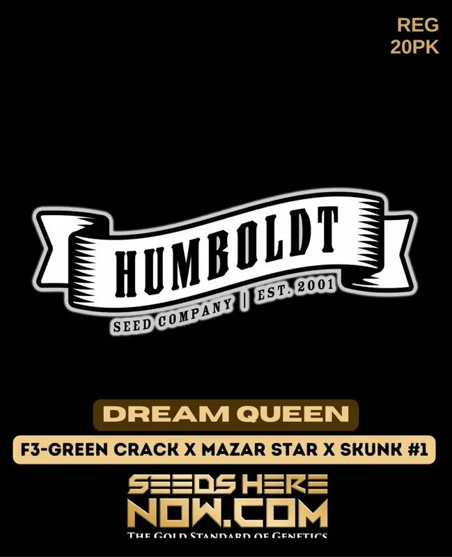 Dream Queen Cannabis Seeds by Humboldt Seed Company - Regular Type with Aromatic Profile