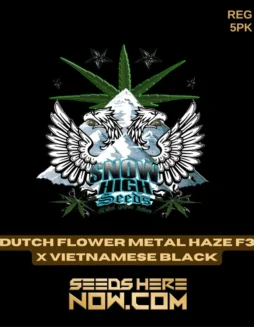 Dutch Flower Metal Haze F3x Vietnamese Black cannabis seeds packaging