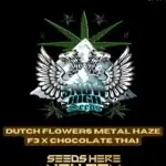 Dutch Flowers Metal Haze F3x Chocolate Thai (Regular) - Snow High Seeds