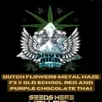 Dutch Flowers Metal Haze F3x Old School Red and Purple Chocolate Thai (Regular) - Snow High Seeds