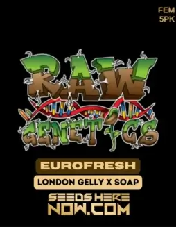EuroFresh Feminized Seeds (space) A Hybrid Strain with Citrus and Pine Aromas