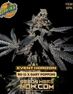 Event Horizon Feminized Seeds (space) Exotic Genetix (space) Hybrid Strain with Citrus and Pine Aroma