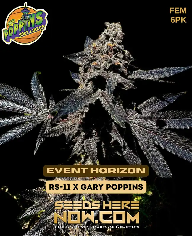 Event Horizon Feminized Seeds - Exotic Genetix - Hybrid Strain with Citrus and Pine Aroma