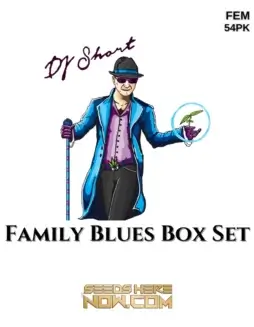 Family Blues Box Set Feminized Cannabis Seeds by DJ Short Seeds/Blue Star Seeds