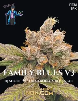 Feminized Family Blues V3 Cannabis Seeds (space) Hybrid Strain with Blueberry, Earthy Aromas
