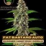 Fat Bastard (Autoflower) - Automatically Delicious