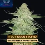 Fat Bastard S1 (Feminized) - Pure XX