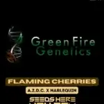 Flaming Cherries (Regular) - Green Fire Genetics