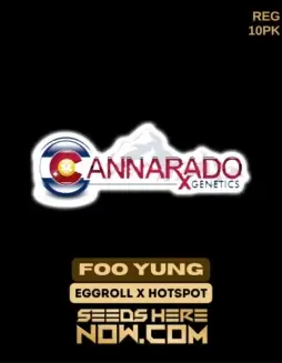 Foo Yung Regular Seeds by Cannarado Genetics featuring Eggroll and Hotspot lineage