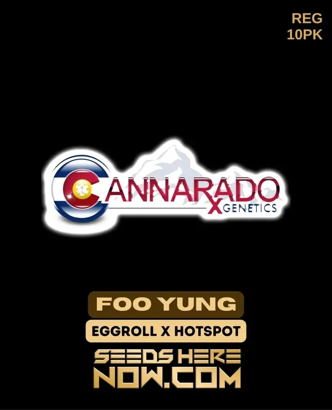 Foo Yung Regular Seeds by Cannarado Genetics featuring Eggroll and Hotspot lineage