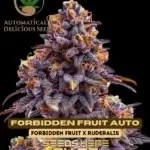 Forbidden Fruit (Autoflower) - Automatically Delicious