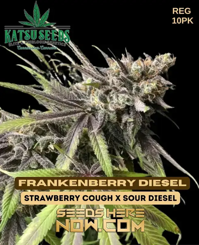 Frankenberry Diesel Cannabis Seeds by Katsu Seeds featuring Strawberry Cough and Sour Diesel genetics