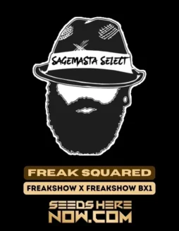 Freak Squared Cannabis Seeds, a unique sativa(space)dominant hybrid with sour pine and citrus flavors