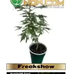 Freakshow Clones - Dunn Deal Clones