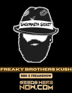 Image of Freaky Brothers Kush cannabis seeds, featuring chunky, spear(space)shaped nugs with bright green leaves and orange hairs.