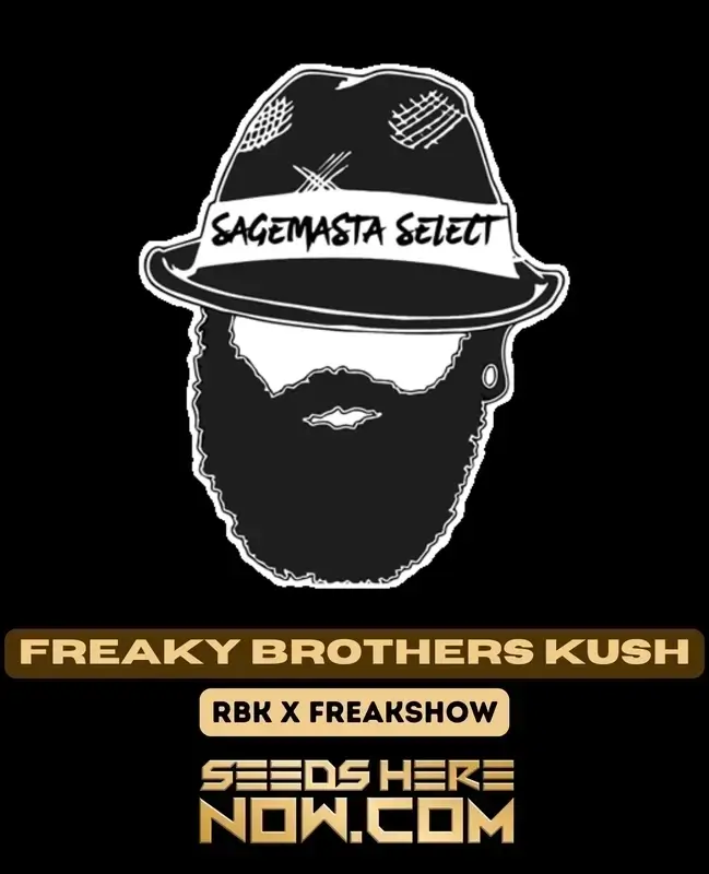 Image of Freaky Brothers Kush cannabis seeds, featuring chunky, spear-shaped nugs with bright green leaves and orange hairs.