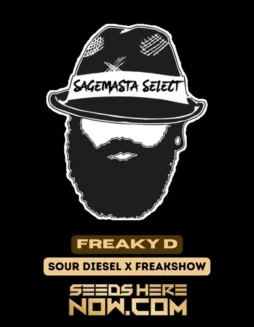 Freaky D cannabis seeds, a Sour Diesel and Freakshow hybrid with 70/30 Sativa dominance