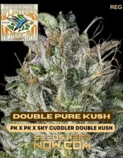 Double Pure Kush cannabis seeds by Freeborn Selections, 10(space)pack, high THC content and resin production