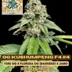 Freeborn Selections - OG Kushumpeng F4 #4 {REG}