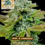 Freeborn Selections - PK x Hindu (Feminized)