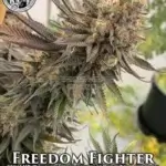 Freedom Fighter 2021 Limited Edition (Regular) - Heroes of the Farm