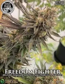 Freedom Fighter 2021 Limited Edition Cannabis Seeds by Heroes of the Farm
