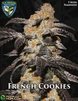 French Cookies cannabis seeds by T.H. Seeds, a feminized strain derived from Platinum Girl Scout Cookies.