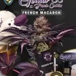 French Macaron Bonus Pack (Feminized) - T.H. Seeds