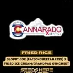 Fried Rice (Regular) - Cannarado Genetics