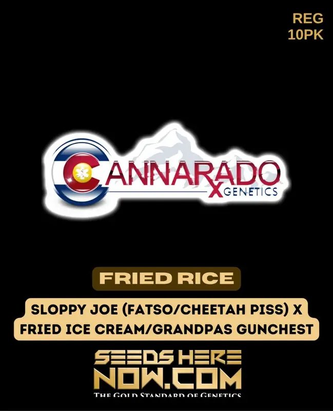 Fried Rice Regular Cannabis Seeds from Cannarado Genetics featuring hybrid strain with savory and nutty flavors