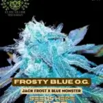 Frosty Blue OG S1 (Feminized) - Elite Clone Seed Company
