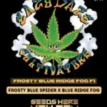 Frosty Blue Ridge Fog (Regular) - Eazy Daze Cultivators
