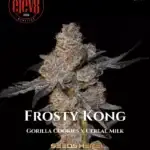 Frosty Kong (Feminized) - Elev8 Seeds