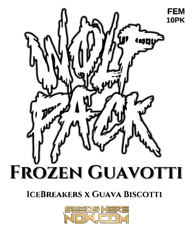 Frozen Guavotti cannabis seeds by Wolfpack Selections, a hybrid strain with tropical aroma and high THC content