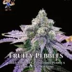 Fruity Pebbles OG S1 (Feminized) - Dr. Blaze