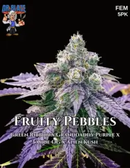 Fruity Pebbles OG S1 (Feminized) (space) Dr. BlazeImage of Fruity Pebbles OG S1 cannabis seeds packaging by Dr. Blaze