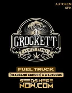 Fuel Truck Cannabis Seeds (space) Hybrid Strain by Crockett Family Farms