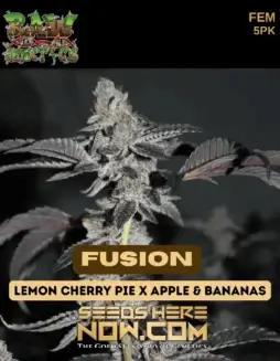 Fusion Feminized Seeds (space) Lemon Cherry Pie x Apple & Bananas